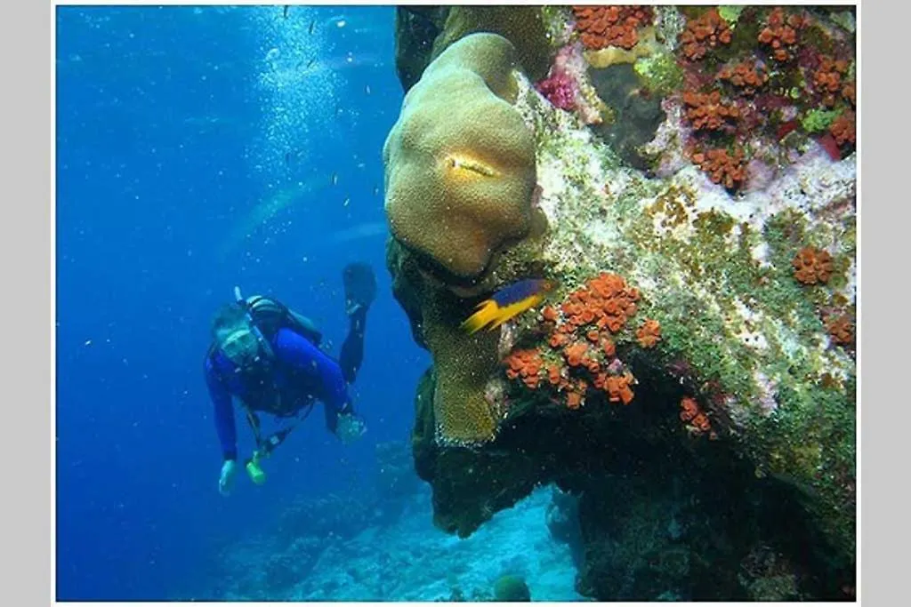 Kas Luna Bonaire Kralendijk  Villa